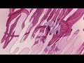 pinkpantheress - pain ( slowed + reverb )