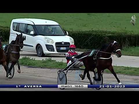 Aversa trotto 21 Gennaio 2023 - 1° Corsa