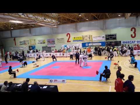 campeonato de karate Spanish open 2014