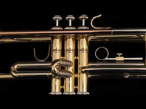 BTR201 Student Bb Trumpet with Gold-Brass Leadpipe - Lacquered