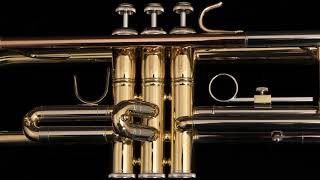 BTR201 Student Bb Trumpet with Gold-Brass Leadpipe - Lacquered