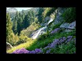 Summer High Ringtone Hindi Ringtone Download Zigtone Com