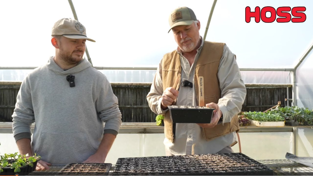 Seeds To Plant In February!