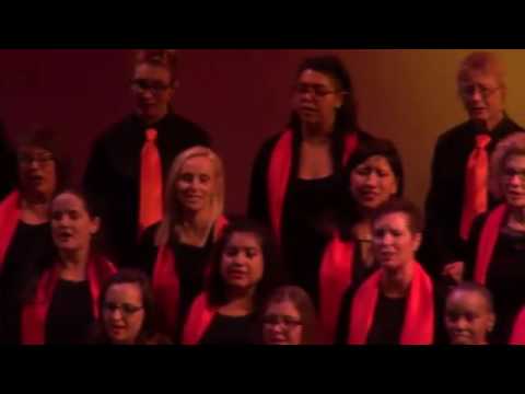 "I'm Still Standing Here" performed by Janis Ian & SDWC