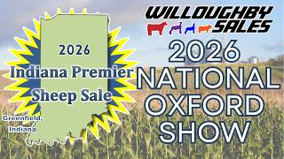 2026 Indiana Premier Sheep Sale  April 25th  Greenfield, IN OXFORD PREVIEW