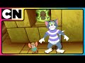 Tom Jerry Frienemies Forever Cat And Mouse Tomandjerry Funny Cartoons Cnindia
