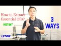 3 Ways To Extract Essential Oil How To Extract Essential Oil History Of Essential Oil Extraction
