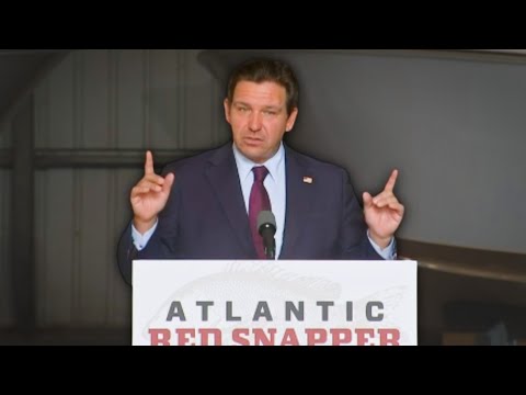 Florida Gov. Ron DeSantis announces expanded 2026 red ...