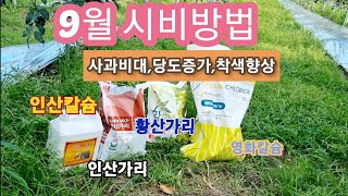 9월 사과나무 시비방법(과일비대,당도증가,착색향상)