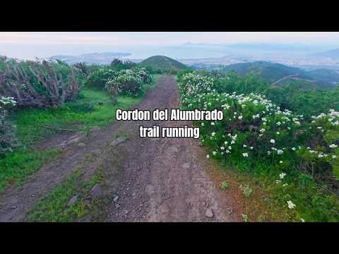[ASMR] Trail running por el Cordón del Alumbrado (Cerros Negros, Coquimbo)