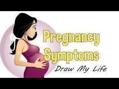 Draw My Life   What Happens To A Woman's Body During Pregnancy