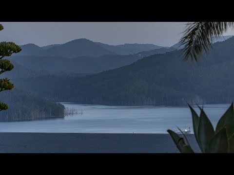 2 Tarlington Road, Lower Beechmont, QLD 4211, 5 Kuwarto, 4 Banyo, House