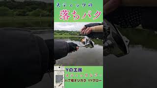 Yの工房 スティックルアーで落ちパクが気持ち良すぎる！！！#shorts #エリアトラウト #釣り