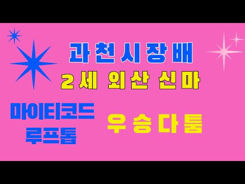 11/16-강태성-일요-8경주-외산 차세대 강자(과천시장배) 출전마 분석!!!