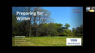 Winter Protection (11.17.2023)