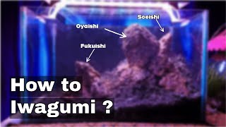 How to set up an Iwagumi Layout?  Iwagumi Aquasape Hardscaping Tutorial for beginners
