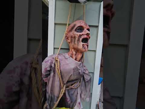 Reapers Cove Daytime Walkthrough