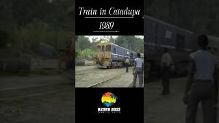 The 1989 Jamaican Train Flashback That Will SHOCK You!