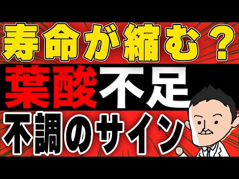 葉酸が減量と健康にどのように役立つか
