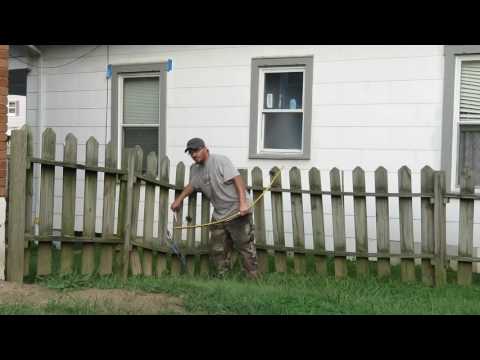 Osage orange Self bow from SRO