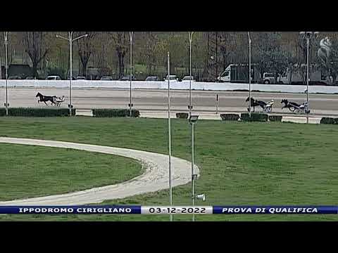 Aversa trotto 3 Dicembre 2022 - Prova di qualifica