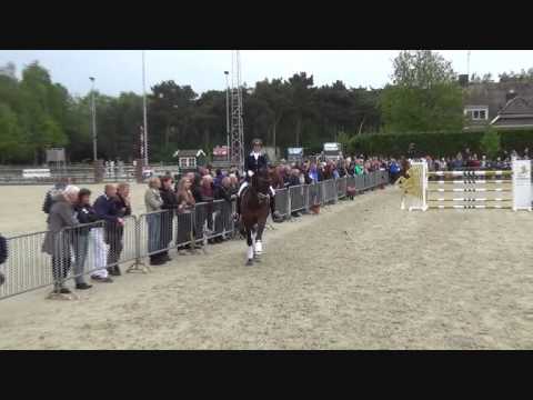 hengstenshow ferdinand en cachet l 0001
