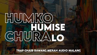 Download lagu TRAP INDIA BAWANG MERAH AUDIO | JINGLE GHAIB | OTNAIRA ‼️ mp3