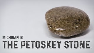 The Petoskey Stone Has 300 Million Years of History in its Hexagons The Petoskey Stone Has 300 Million Years of History in its Hexagons
