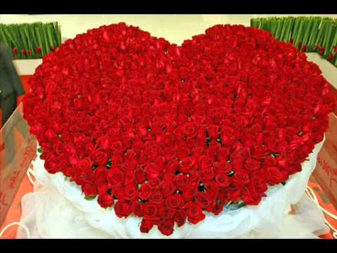 İBRAHİM SAYGIN   AŞKIN KANUNU 2012