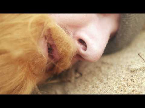 The Return of Turf's Up