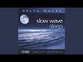 Slow Wave Sleep