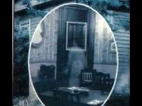 Catfish Plantation Video 3