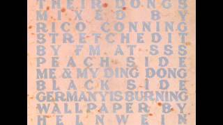 Pankow Germany Is Burning 1989