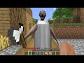 This Realy Granny in Minecraft - I Found it