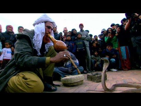 The Supernaturalist - Cobra Control