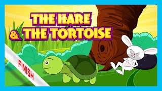 The Hare and The Tortoise Story  Bedtime Story by 