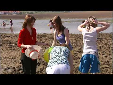 Vamos a la Playa en Tišnov