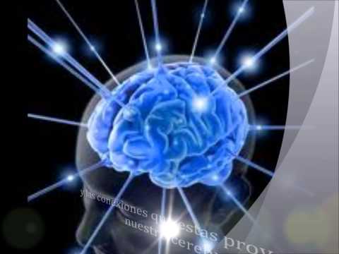 lenguas en peligro de extinción