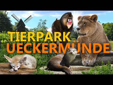 Tierpark Ueckermünde | Zoo-Eindruck
