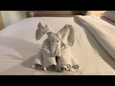 Thumbnail for Cabin 7591 Promenade View Interior Stateroom Tour, Deck 7, Allure of the Seas
