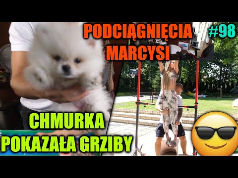 CHMURKA EKIPY POKAZAŁA GRZIBY, PODCIĄGNIĘCIA MARCYSI, ZONY I NAPALONE MATKI - IANSKY SHOTY