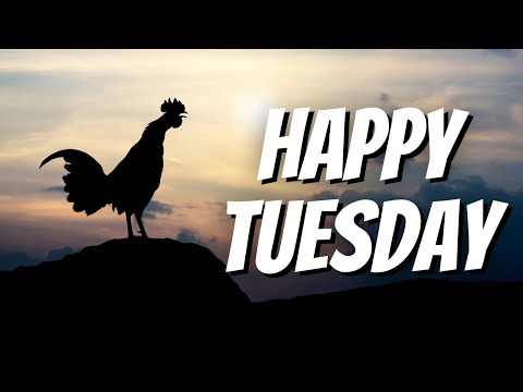 Happy Tuesday Images - Download the Best Happy Tuesday Images app Now!