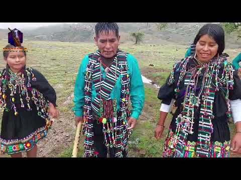 ✨🎈 LOS ÉXITOS DE POROMA - ROSAURA (Video Oficial 2026) #MusicaBoliviana