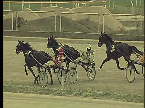 Trotto 25/11/2018 - 2ª corsa