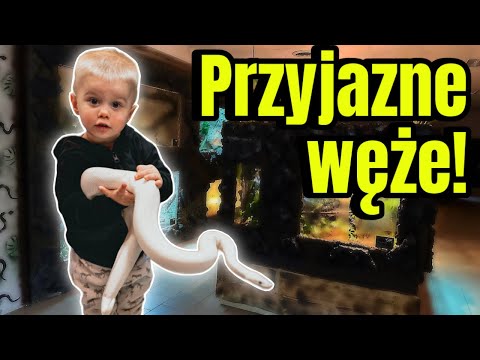 SNAKE IN THE HOUSE❗️ Which one is the BEST❓