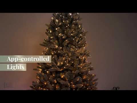 Twinkly Bud Light 250 Smart Lighting Mitre 10