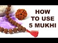 5 Mukhi Rudraksha (Eng Subs) | Five mukhi rudraksha do's and don'ts | Panch mukhi Rudraksha mala
