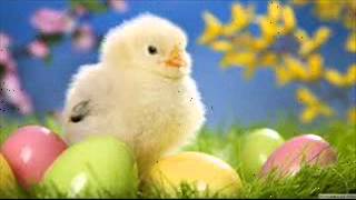 **312-3561637**ARÇELİK KLİMA SERVİSİ 536-9135110 GOPAŞA ANKARA KLİMA M