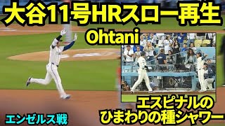 大谷翔平11号HRスロー再生してみたら、ファンの確信が早く大騒ぎすぎた！！初のエスピナルのひまわりの種シャワーを浴びて笑顔の大谷翔平！ 【現地映像】2026年6月6日 ドジャースvsエンゼルス