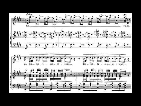 Caro nome (Rigoletto - G. Verdi) Score Animation
